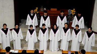 “주의 이름 송축해” 참예수교회 호렙산선교합창단(호렙산성가대)(2017추계영은회)(TJCDB)